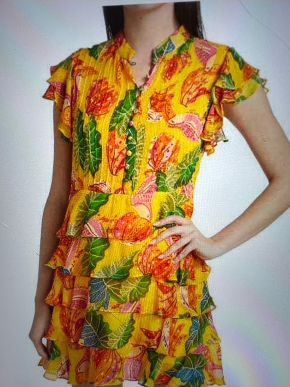 Farm Rio Beaks & Bananas Ruffle Mini Dress NEW - Picture 11 of 12